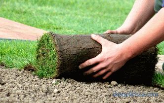 Pokládání trávníku trávníku: technologie a procesní nuance