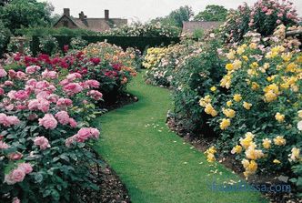 Anglická zahrada - deset základních principů jejího uspořádání