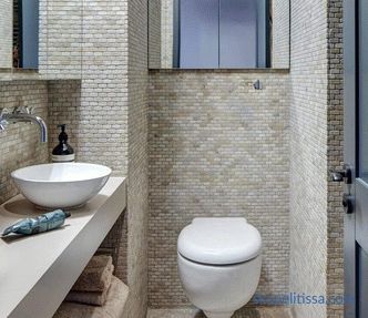 Dekorace malé toalety, pravidla pro výběr materiálů a barev, populární detaily a styly