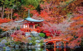 Japonská zahrada - principy a pravidla pro vytváření stylu