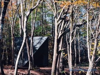 Křišťálově tvarovaný miniaturní dům v lese Lansville