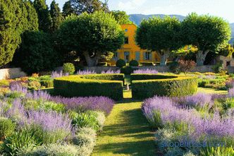 Provence styl zahrada - základní pravidla vzniku