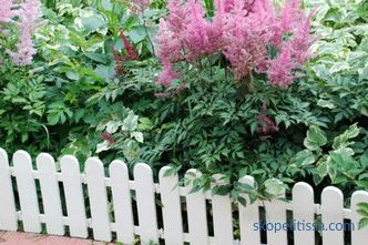 Dekorativní ploty pro květinové záhony - nejlepší nápady od designérů, fotografií, nápadů