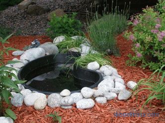 Jak udělat rybník v zemi - umělý dekorativní rybník v zahradě a na místě, krásný design rybníka, foto