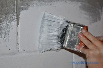 Malování betonového plotu, co a jak malovat, výběr barvy, fotografie