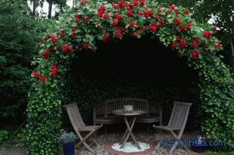 Krásné altány pro letní chatu - fotografie z nejlepších nápadů zahradní zahradní design
