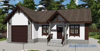 Garáž a sauna pod jednou střechou: designové prvky