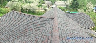 Jak si vybrat střechu pro venkovský dům: co věnujeme pozornost a populární materiály